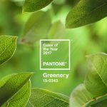 Verde Greenery: A cor de 2017, segundo a Pantone!